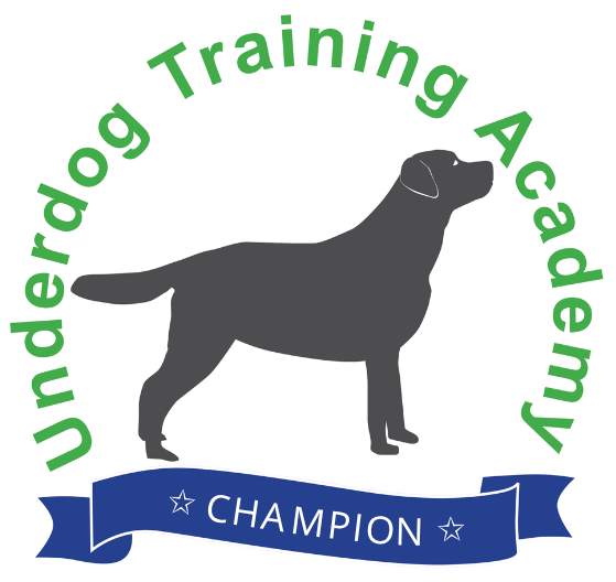 Underdog Training Academy